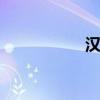 汉克森滤芯 精密滤芯