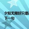 夕阳无限好只是近黄昏是谁的诗句 夕阳无限好,只是近黄昏下一句