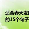 适合春天发朋友圈！ 最适合在春天发朋友圈的15个句子