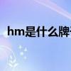hm是什么牌子的衣服(hm衣服是什么价位)
