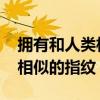 拥有和人类相似的指纹 哪种动物拥有和人类相似的指纹