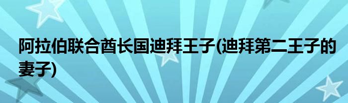 阿拉伯联合酋长国迪拜王子(迪拜第二王子的妻子)