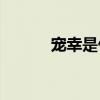 宠幸是什么意思(宠幸还是幸宠) 宠幸是什么意思(宠幸还是幸宠)