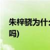 朱梓骁为什么会消失和隐藏(朱梓骁退出圈了吗) 朱梓骁为什么会消失和隐藏(朱梓骁退出圈了吗)