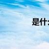 是什么(为什么羊驼叫com)