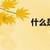 什么是混合物 混合物的定义