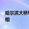 哈尔滨大桥坍塌事件 哈尔滨大桥坍塌事故真相 哈尔滨大桥坍塌事件 哈尔滨大桥坍塌事故真相