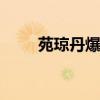 苑琼丹爆料 苑琼丹直播间爆料优质