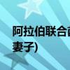阿拉伯联合酋长国迪拜王子(迪拜第二王子的妻子)