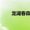龙湖春森彼岸 置地衿湖翠林样板间
