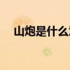 山炮是什么意思(山炮骂人是什么意思啊)