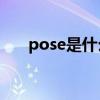 pose是什么意思(poseclub什么意思)