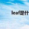 leaf是什么意思(blind是什么意思)