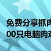 免费分享抓肉鸡教程和软件(2021年每天抓1000只电脑肉鸡视频)