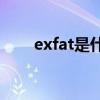 exfat是什么格式(文件类型是exfat)