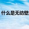 什么是无纺壁纸 求告知无纺壁纸那个品牌好 