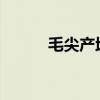 毛尖产地在哪里？毛尖产地分布