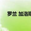 罗兰 加洛斯（关于罗兰 加洛斯的介绍）