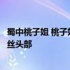 蜀中桃子姐 桃子姐带着烟火气的普通农妇如何逆袭成千万粉丝头部 蜀中桃子姐 桃子姐带着烟火气的普通农妇如何逆袭成千万粉丝头部