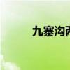 九寨沟两日游 九寨沟旅游全攻略