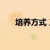 培养方式 三方协议培养方式怎么填写