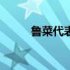 鲁菜代表菜 鲁菜最有名的30道菜