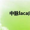 中脉laca内衣 中脉和中脉laca的区别