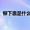 柳下惠是什么意思 柳下惠典故出处在哪里？