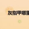 灰指甲哪里看(脚上的灰指甲能自愈吗)