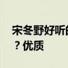 宋冬野好听的歌曲介绍 宋冬野的好歌有哪些？优质