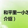 和平里一小怎么样（关于和平里一小怎么样的介绍）