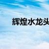 辉煌水龙头怎么样?卓越的水龙头价格 辉煌水龙头怎么样?卓越的水龙头价格