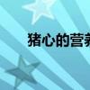猪心的营养价值！ 猪心的功效与作用