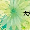 大众T5新车型基础信息