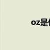 oz是什么单位(OZ详细介绍)
