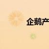 企鹅产卵 企鹅繁衍后代的过程