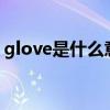 glove是什么意思(手套的英语怎么读gloves)