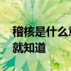 稽核是什么意思 现场管理有效性，稽核一下就知道
