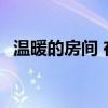 温暖的房间 在这温暖的房间 相遇是一种缘