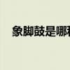 象脚鼓是哪种民族打击乐器及其基本介绍 象脚鼓是哪种民族打击乐器及其基本介绍