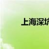 上海深坑酒店(上海深坑国际公寓)