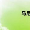 马尼拉草坪的介绍及特点