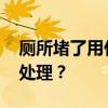 厕所堵了用什么通最方便最快 厕所堵塞怎么处理？