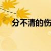 分不清的伤歌词 分不清是雨还是泪歌词