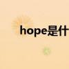 hope是什么意思 wish和hope的区别