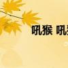 吼猴 吼猴，用声音来战斗的猴王