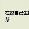 在家自己生绿豆芽怎么生 怎么在家里种绿豆芽