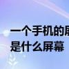 一个手机的屏幕大约是70什么 荣耀70采用的是什么屏幕 