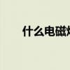 什么电磁炉好用_最好的电磁炉推荐！