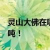 灵山大佛在哪 无锡灵山大佛造价26亿 重725吨！